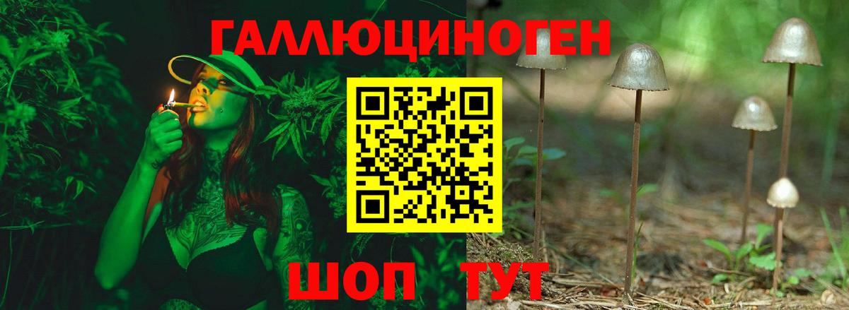 Псилоцибиновые грибы прущие грибы  Вход с VPN  Каспийск  Галлюциногенные грибы GOLDEN TEACHER 